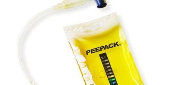 Synthetic Urine Results Rolling Meadows Bell FL